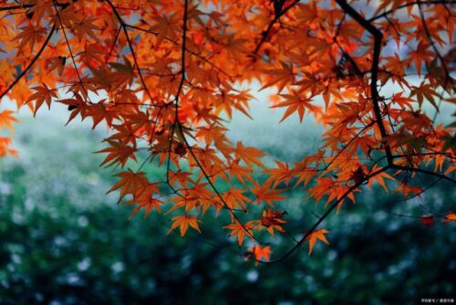 鼓山深秋之旅：登高望远，品味地道零食 鼓山，位于福建省福州