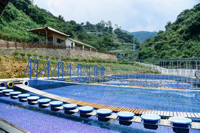 找个周末去“村游”,逛市集、品乡宴、游高山,就在同安顶村!