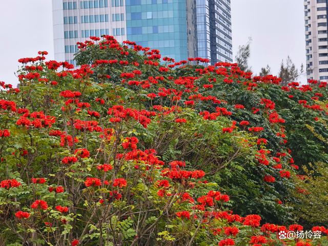 山海步道:厦门的小众宝藏之旅