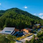 闽山闽水物华新｜南平，真香！