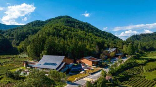 闽山闽水物华新｜南平，真香！