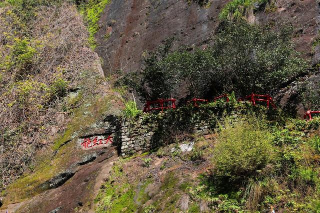 闽山闽水物华新|南平,真香!