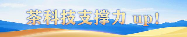 闽山闽水物华新|南平,真香!