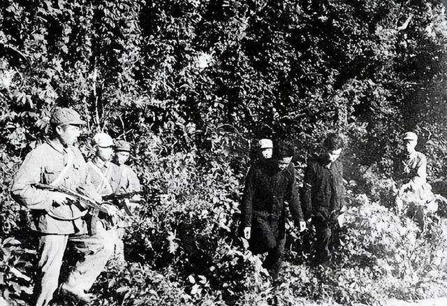他到闽北剿匪,带翻译上山下乡,一年后竟得知翻译是土匪情报站长
