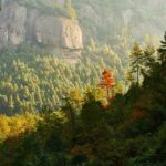 龙岩武平梁野山风景区深秋之旅：两日漫步，邂逅闽西的秀美与