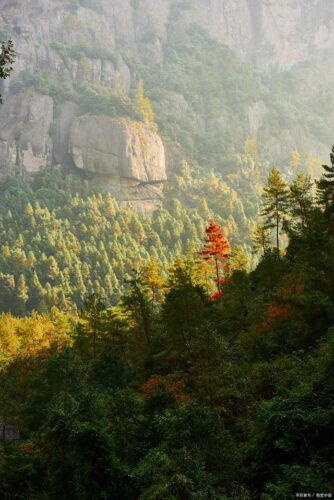 龙岩武平梁野山风景区深秋之旅：两日漫步，邂逅闽西的秀美与