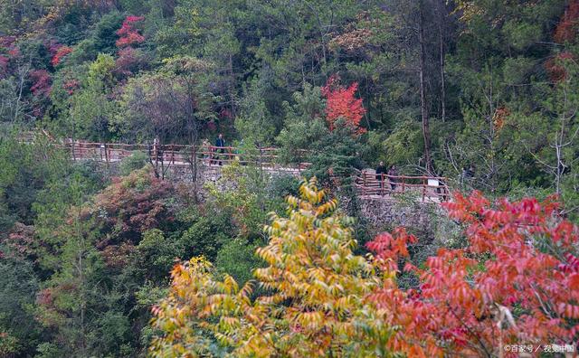 龙岩武平梁野山风景区深秋之旅:两日漫步,邂逅闽西的秀美与