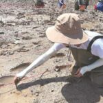 福鼎：努力重现“海上森林”