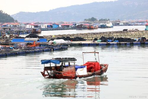 蕉城区一日游必去景点推荐，领略蕉城风光