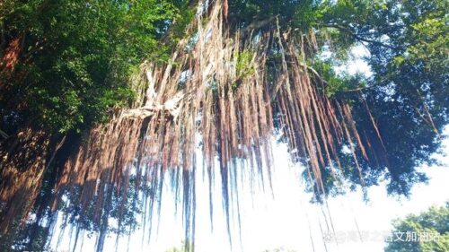 在福州烟台山漫步