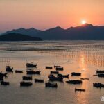 福建宁德有哪些特产？宁德十大特产排行榜！