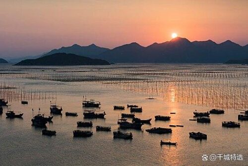 福建宁德有哪些特产？宁德十大特产排行榜！