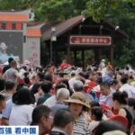 年产值超36亿元！湖南邵阳打造“油茶+N”模式，带火“林下经济”