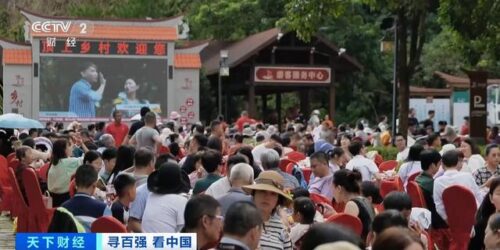 年产值超36亿元！湖南邵阳打造“油茶+N”模式，带火“林下经济”