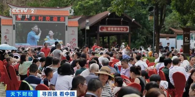 年产值超36亿元!湖南邵阳打造“油茶+N”模式,带火“林下经济”