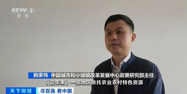 年产值超36亿元!湖南邵阳打造“油茶+N”模式,带火“林下经济”
