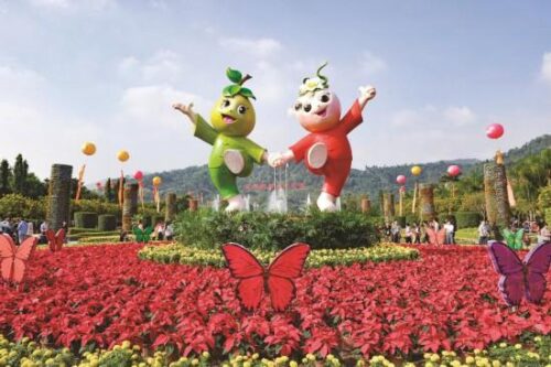 千亿闽花 绚烂绽放