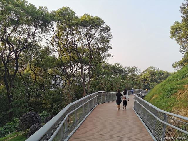 福州高空景观步道:漫步云端,领略城市新风貌