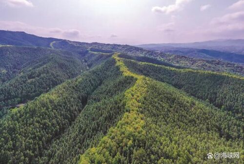 潮涌八闽 山海交响——中信银行福州分行奋力书写“五篇大文章”新答卷