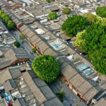 “两山”共“建”造“福”地——来自八闽大地的绿色发展观察