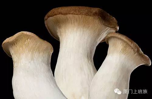 福建各地山珍,迄今最全,估计没有人都尝过,八闽君为你一一介绍