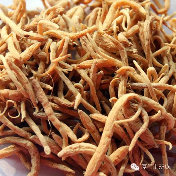 福建各地山珍,迄今最全,估计没有人都尝过,八闽君为你一一介绍