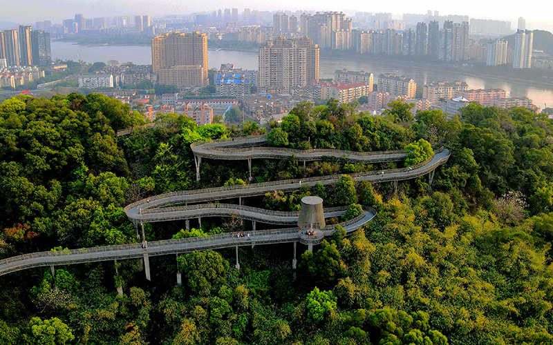 “两山”共“建”造“福”地——来自八闽大地的绿色发展观察