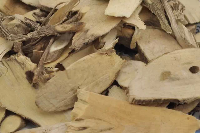 福建山间这些草药,煲汤效果还真的都不一般