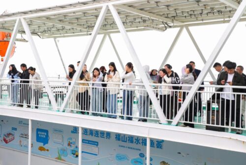 万千气象看福建｜“海上福州”展现强劲动力