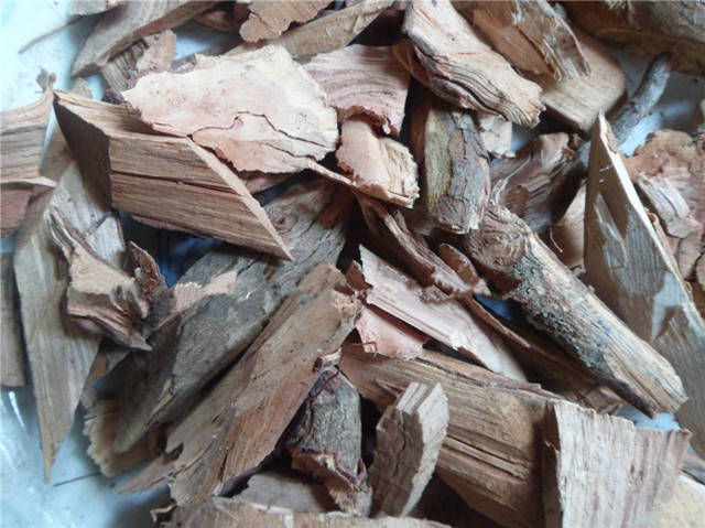 福建山间这些草药,煲汤效果还真的都不一般