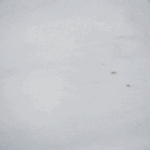 八闽大地_20年！福建霞浦打造“中国南方海参之乡”国字号区域品牌！