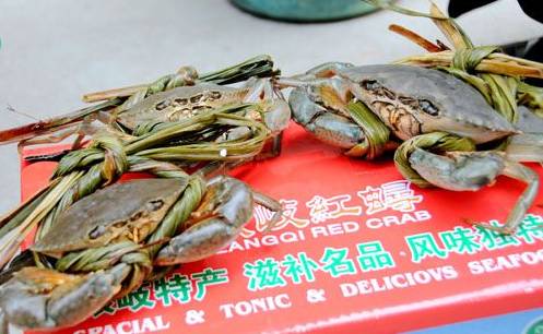 咱大福建的10种“天价”特产,有钱都不一定买得到,这些“天价”特产都是哪些呢?