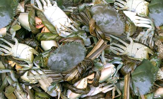 咱大福建的10种“天价”特产,有钱都不一定买得到,这些“天价”特产都是哪些呢?