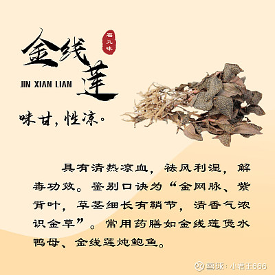 福建“福九味”是什么,分别指的是那几味呢?