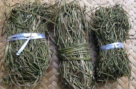 福建山间这些草药,煲汤效果还真的都不一般