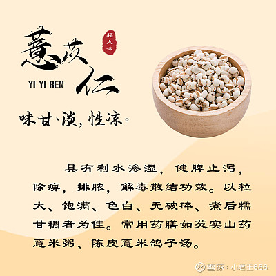 福建“福九味”是什么,分别指的是那几味呢?