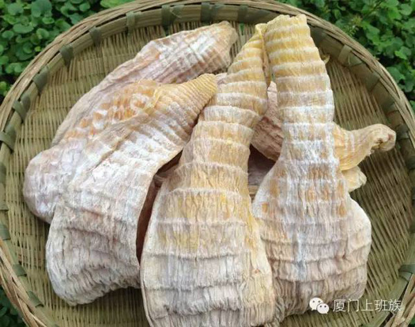 福建各地山珍,迄今最全,估计没有人都尝过,八闽君为你一一介绍