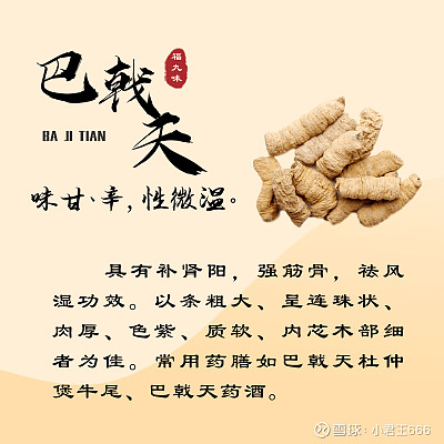 福建“福九味”是什么,分别指的是那几味呢?