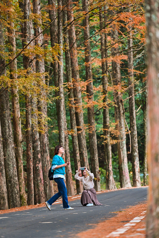 “两山”共“建”造“福”地——来自八闽大地的绿色发展观察