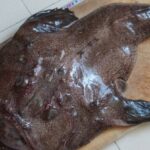 福建“五大怪菜”排行榜，看看你敢尝试吗？