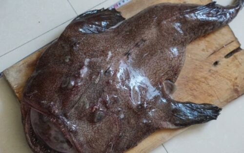 福建“五大怪菜”排行榜，看看你敢尝试吗？