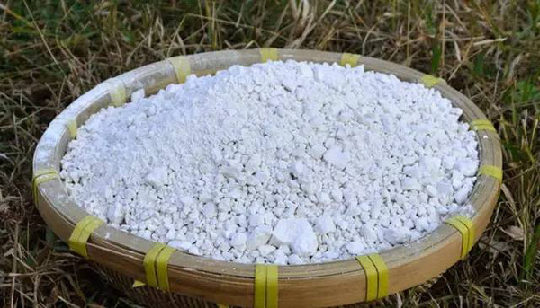 福建各地山珍,迄今最全,估计没有人都尝过,八闽君为你一一介绍