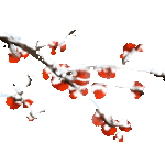 是时候了！这个冬天，来建宁感受美食+美景的双重治愈~