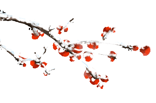 是时候了！这个冬天，来建宁感受美食+美景的双重治愈~