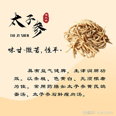 福建“福九味”是什么,分别指的是那几味呢?