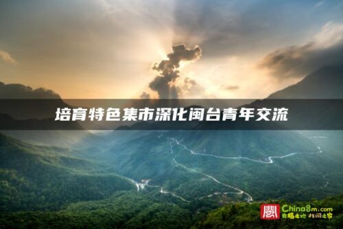 培育特色集市深化闽台青年交流