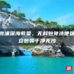 福建霞浦深海紫菜，无料包免洗便捷，独立包装干净无沙