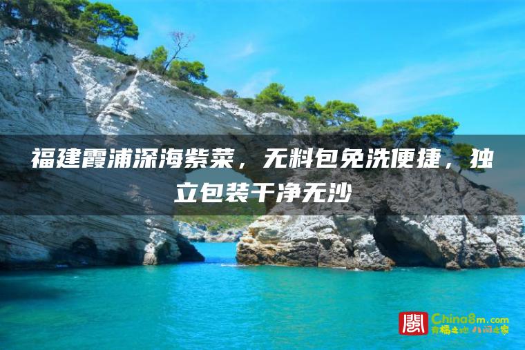 福建霞浦深海紫菜,无料包免洗便捷,独立包装干净无沙