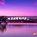 尤溪金柑新鲜出山