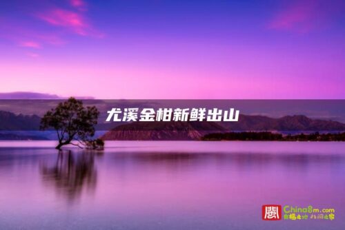 尤溪金柑新鲜出山